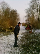 Baumfällen Dezember 2009